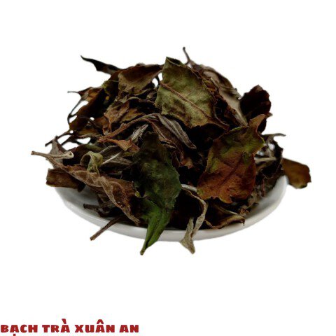 Bạch Trà Xuân An Tà Xùa - Trà Shan Tuyết Cổ Thụ 1 búp 2 lá (Sơn La)